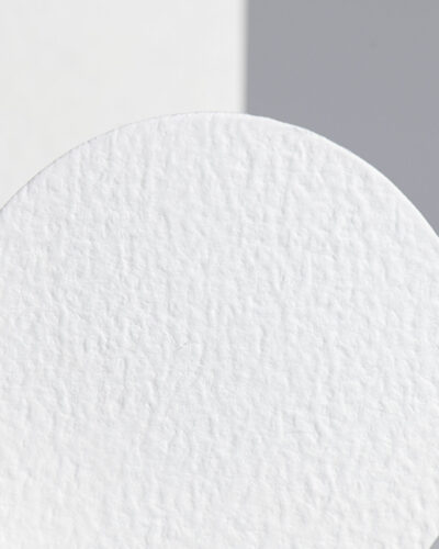 Glass Microfiber Filter NO. FV22 (B)